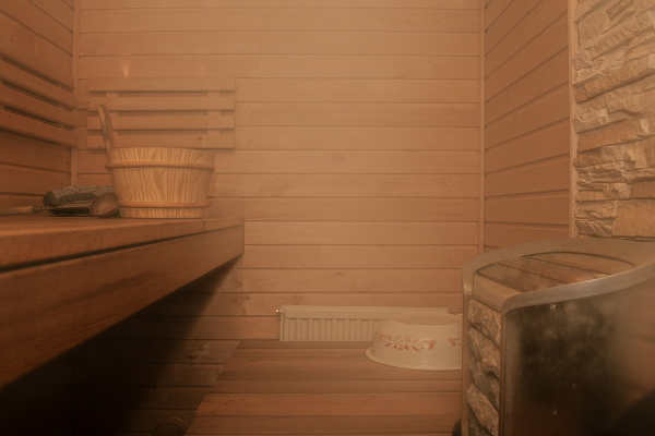  Image from site  sauna