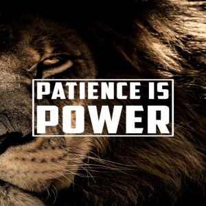 patience is power quote