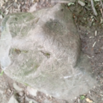 picture taken i vettre blakstad of stones