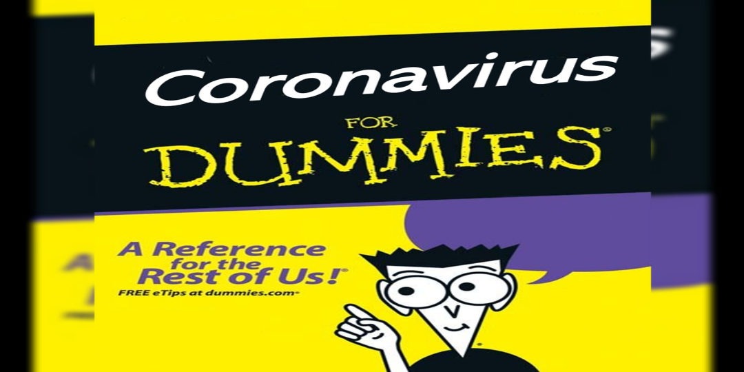Coronavirus for dummies dummies edited picture