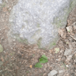 picture taken i vettre blakstad of stones by dealazer