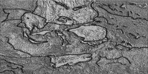 landsat edited picture by dealazer