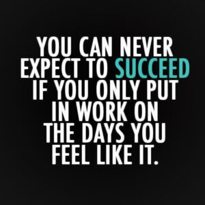 quote on how you should succeed in your work Image from site  quote - you can never expect to succeed if you only put days you feel like it.